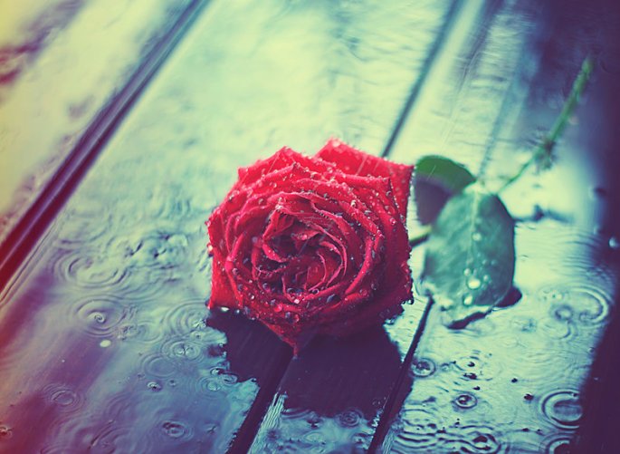 love_and_rain_by_arefin03-d7fiq81